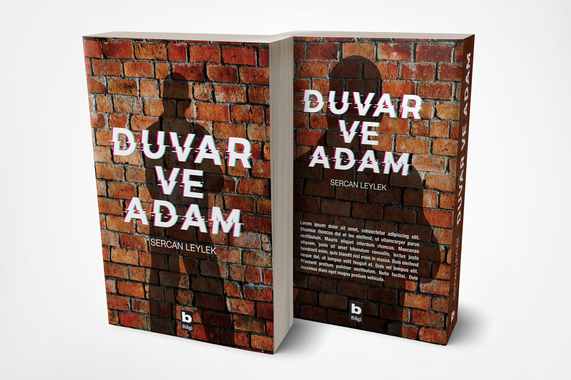 Duvar ve Adam Book Cover