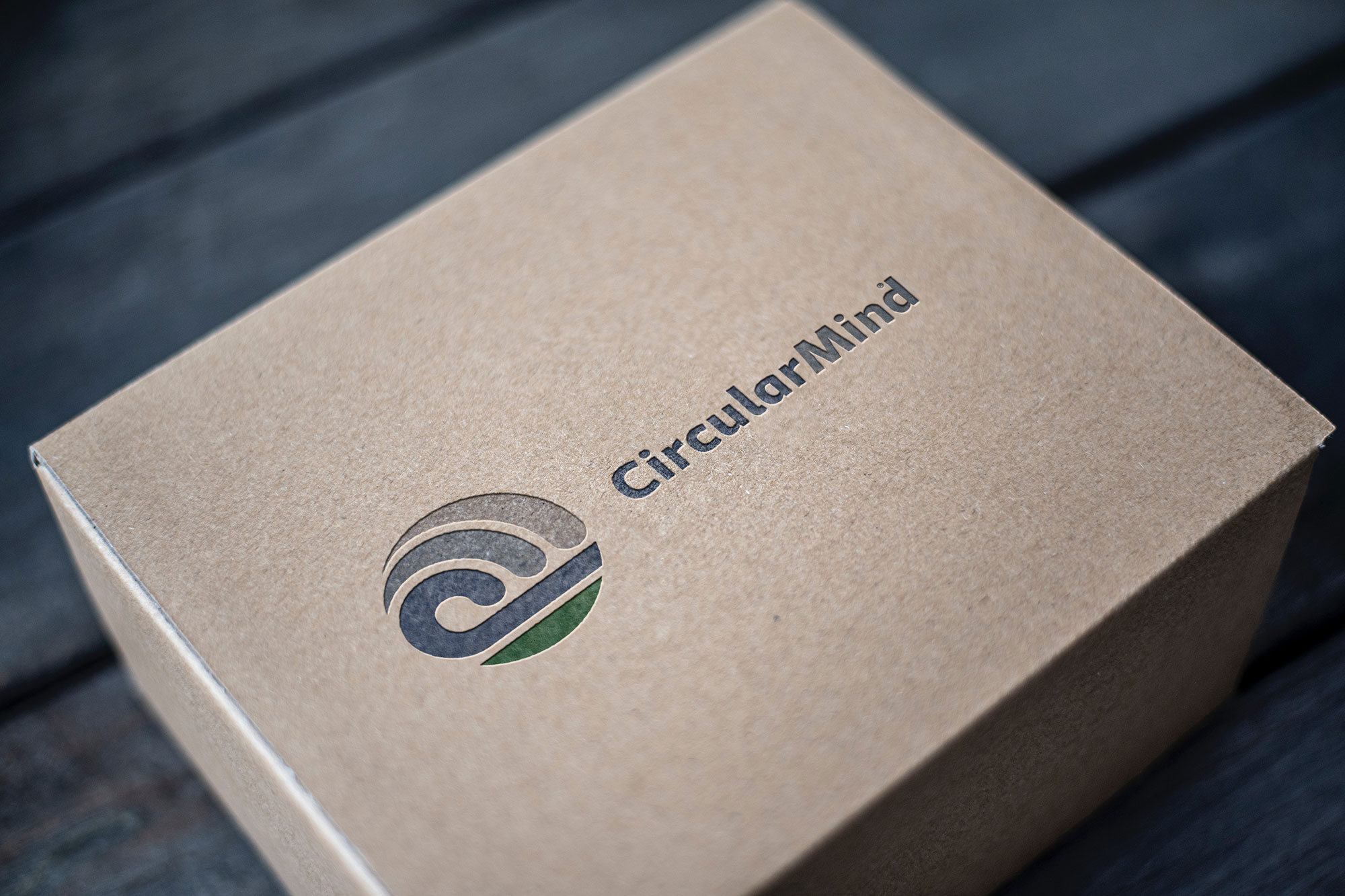Circular Mind Logo