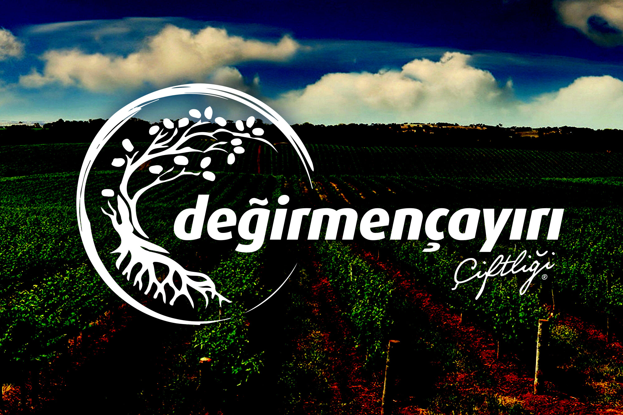 Değirmençayırı Farm Logo