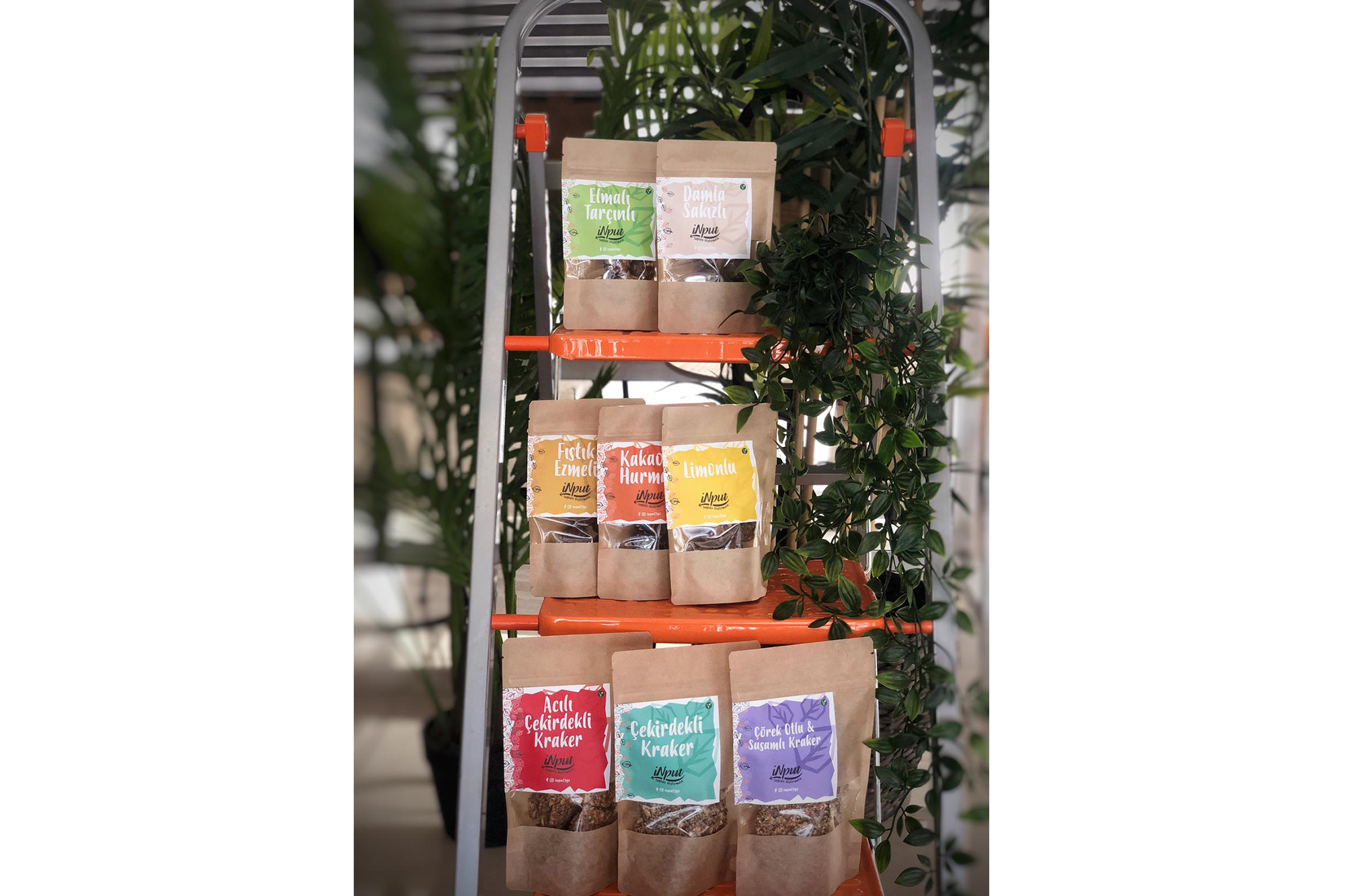 Input Packaging